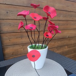 la petite fleur